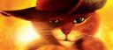 Avatar de el gato