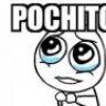 pochitonica