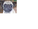 Avatar de roggermulo