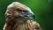 Avatar de halcon