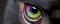 Avatar de nel490