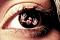Avatar de LolTroll21