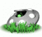 Avatar de fta_cae