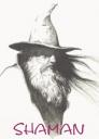 Avatar de shaman